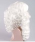 Santa Claus Wig and Beard Set HX-016